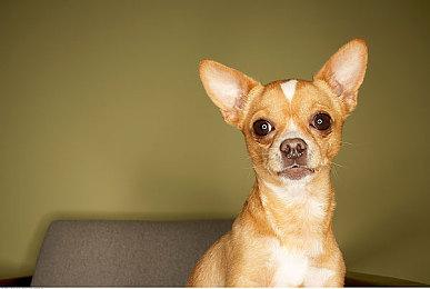 没想到吧？《魔咒之地》是亚马逊第二大畅销PS5游戏